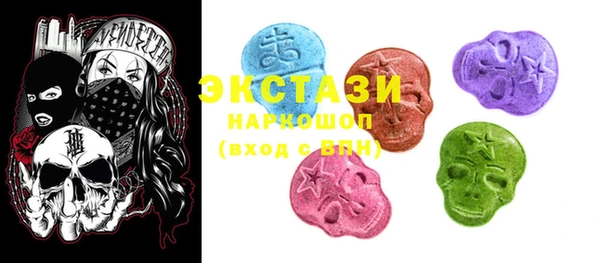 индика Горнозаводск