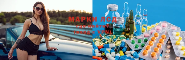 индика Горняк