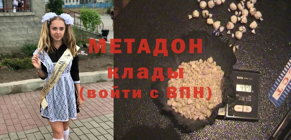 индика Горнозаводск