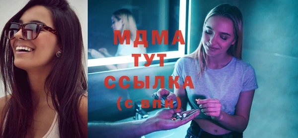 индика Горняк