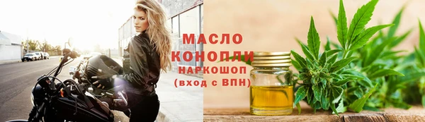 индика Горнозаводск