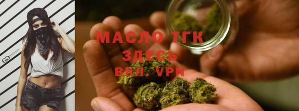 индика Горнозаводск