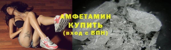 индика Горнозаводск