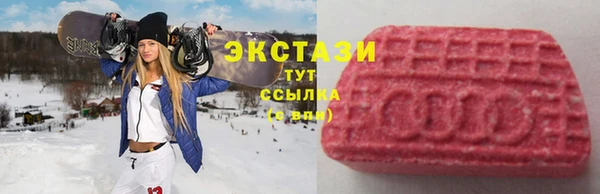 индика Горнозаводск