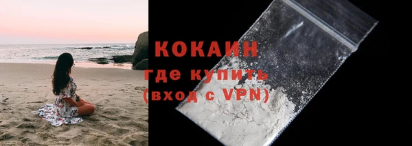индика Горнозаводск