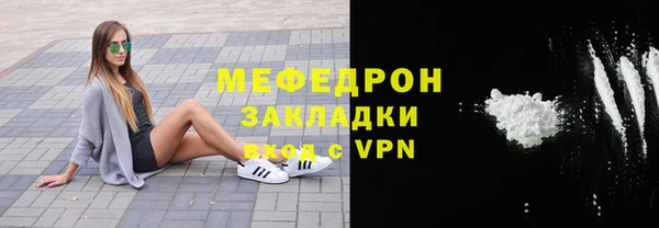 индика Горнозаводск