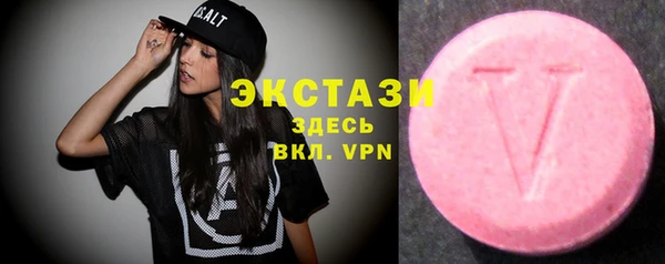 индика Горняк