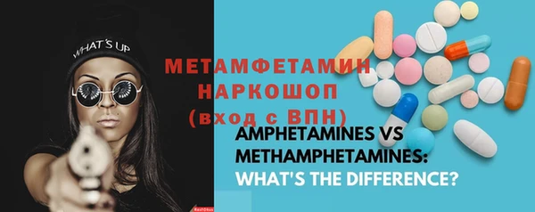 индика Горнозаводск
