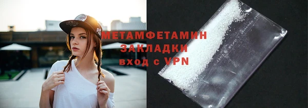 индика Горнозаводск