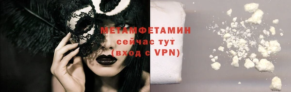 индика Горняк