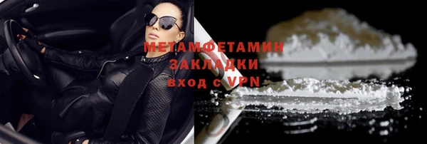 индика Горнозаводск