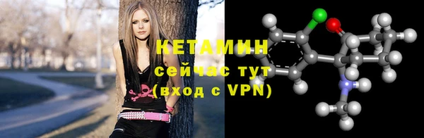 индика Горнозаводск