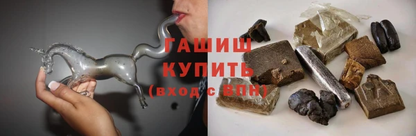 индика Горняк