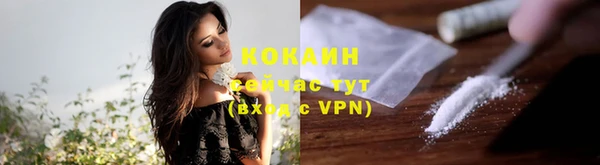 индика Горняк