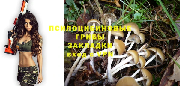 амф Горно-Алтайск