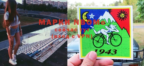 индика Горняк