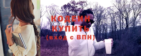 индика Горняк