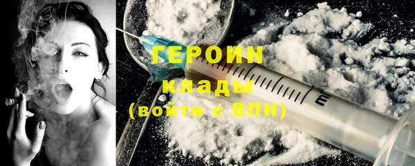 индика Горняк