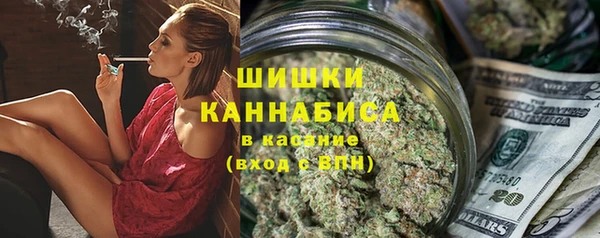 индика Горняк