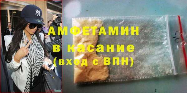 индика Горняк