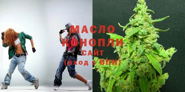 индика Горняк