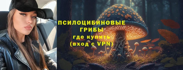 амф Горно-Алтайск
