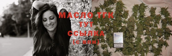 индика Горняк