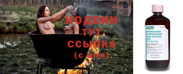 индика Горнозаводск